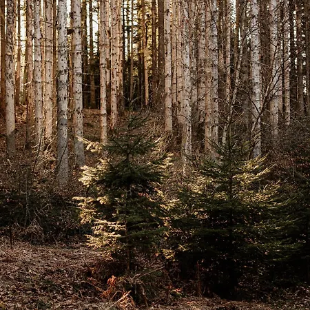 Le De Nicolas - Your Nature Exclusive Retreat ! * لو ثولي