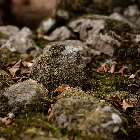 Le De Nicolas - Your Nature Exclusive Retreat ! شاليه *