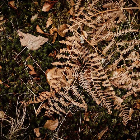 Le De Nicolas - Your Nature Exclusive Retreat ! شاليه لو ثولي