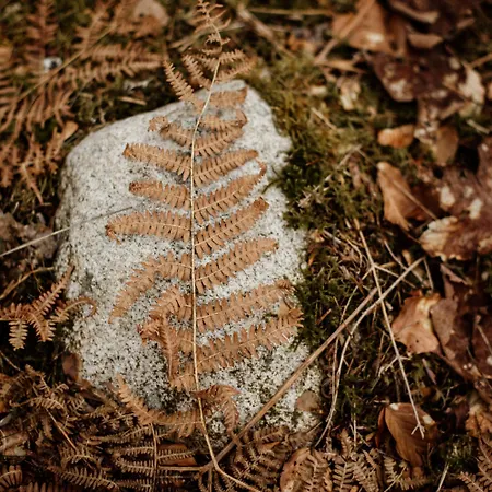 Le De Nicolas - Your Nature Exclusive Retreat ! شاليه لو ثولي