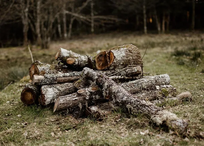 Le De Nicolas - Your Nature Exclusive Retreat ! * Le Tholy