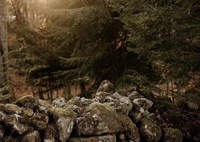 Le De Nicolas - Your Nature Exclusive Retreat ! Σαλέ