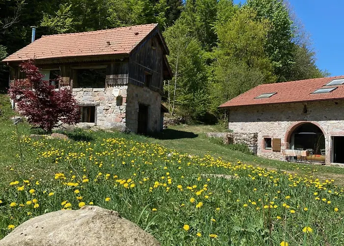 Le De Nicolas - Your Nature Exclusive Retreat !